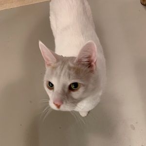 Meet your Posher, Michele